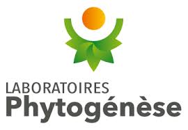 FORMATION PHYTOGENESE