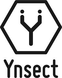 FORMATION YNSECT